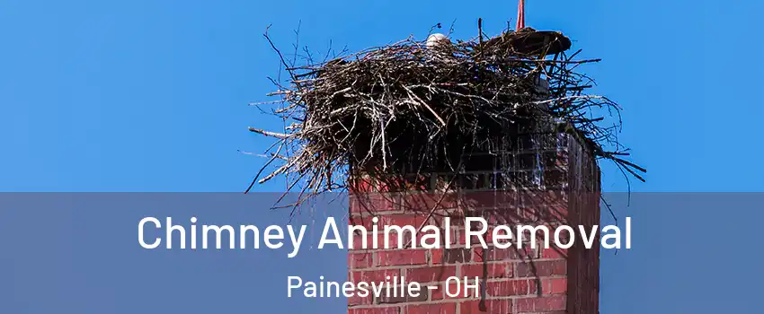  Chimney Animal Removal Painesville - OH