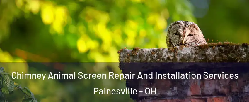  Chimney Animal Screen Repair And Installation Services Painesville - OH