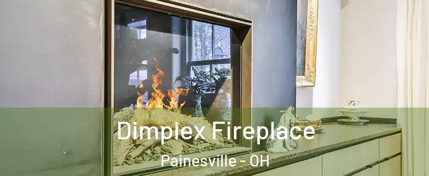  Dimplex Fireplace Painesville - OH