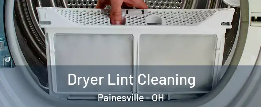  Dryer Lint Cleaning Painesville - OH