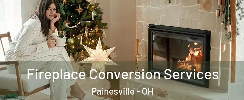  Fireplace Conversion Services Painesville - OH