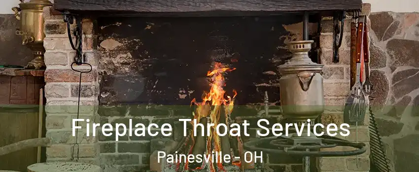  Fireplace Throat Services Painesville - OH