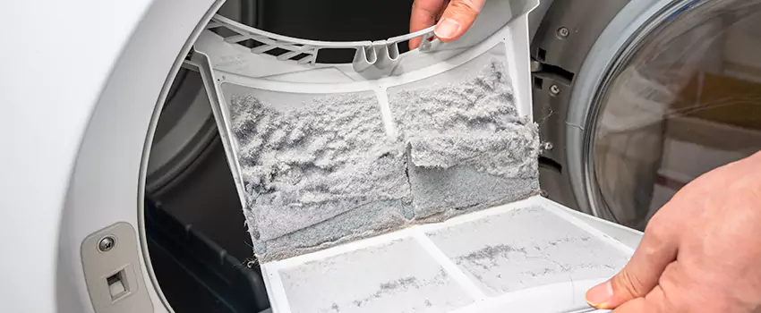 Best Dryer Lint Removal Company in Painesville, Ohio