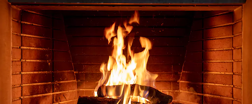 Soot Cleanup Services in Painesville, OH