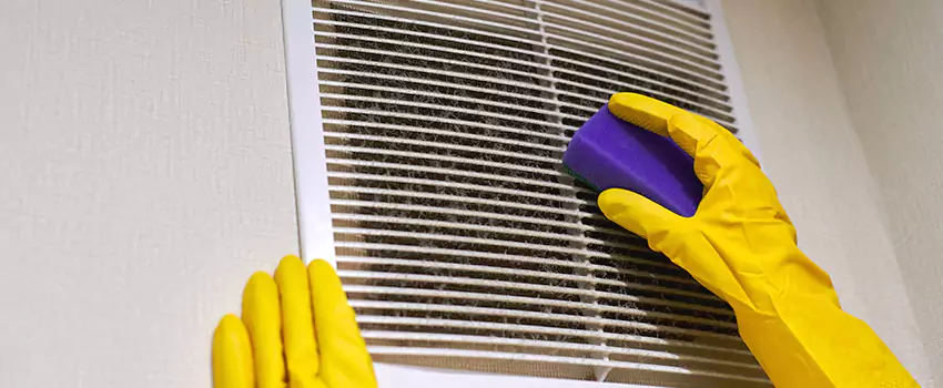 Vent Cleaning Company in Painesville, OH