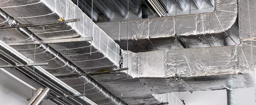 Vent Dust Cleaning Cost in Painesville, OH