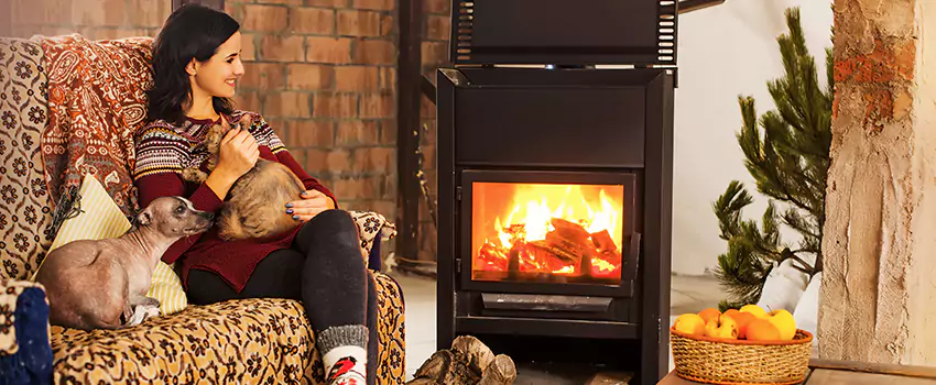 Wood Stove Chimney Cleaning Services in Painesville, OH