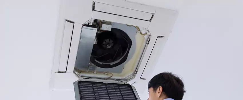 Benefits of Professional Air Duct Cleaning in Painesville, Ohio