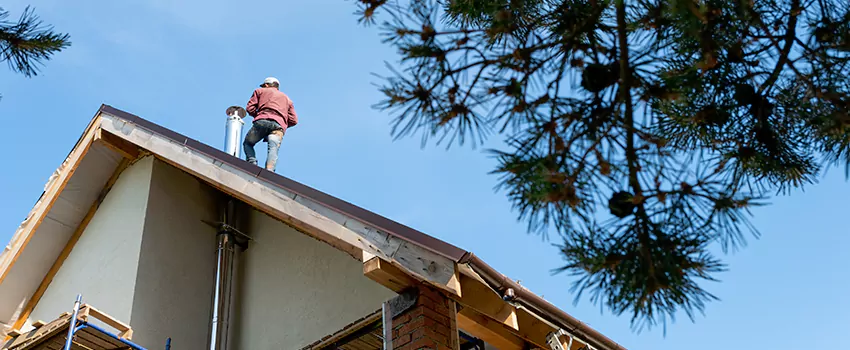Birds Removal Contractors from Chimney in Painesville, OH