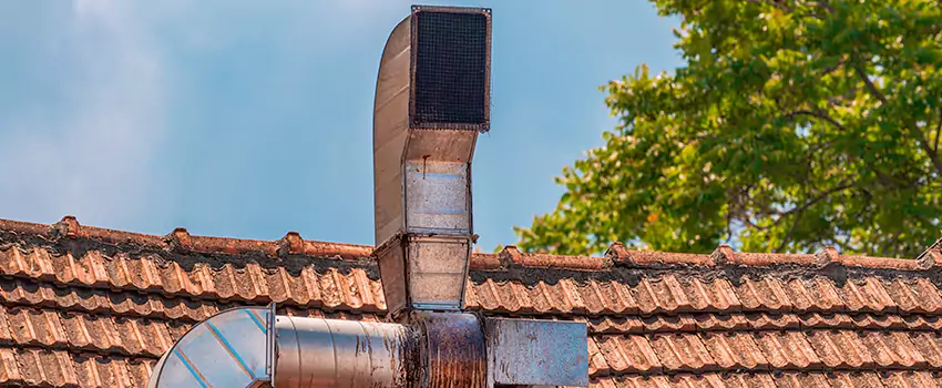 Chimney Blockage Removal in Painesville, Ohio