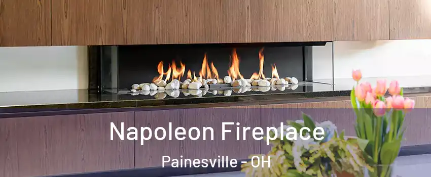  Napoleon Fireplace Painesville - OH