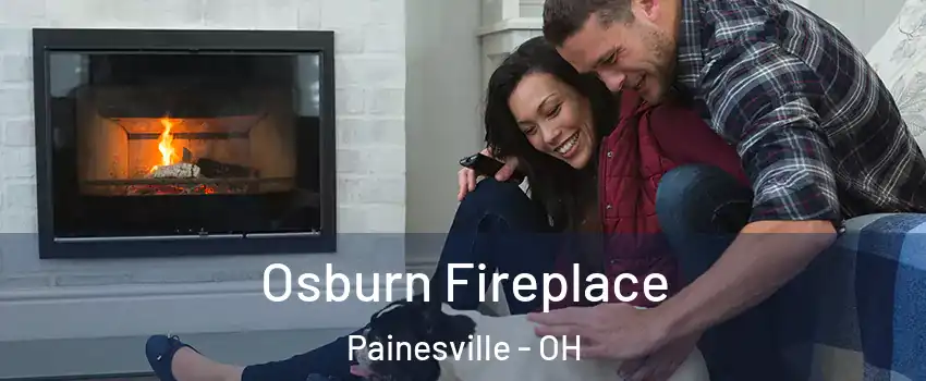  Osburn Fireplace Painesville - OH