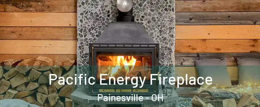 Pacific Energy Fireplace Painesville - OH